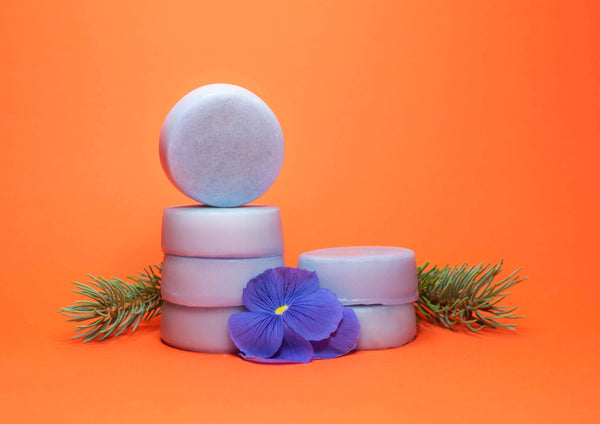 Forest Mist - Zero Waste Conditioner Bar