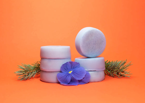 Forest Mist - Zero Waste Conditioner Bar