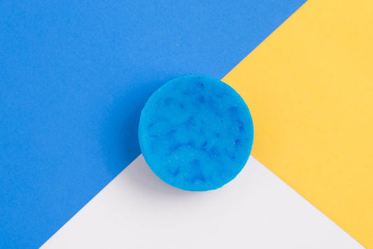 Forest Mist - Zero Waste Conditioner Bar