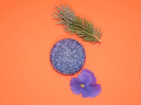 Forest Mist - Zero Waste Shampoo Bar