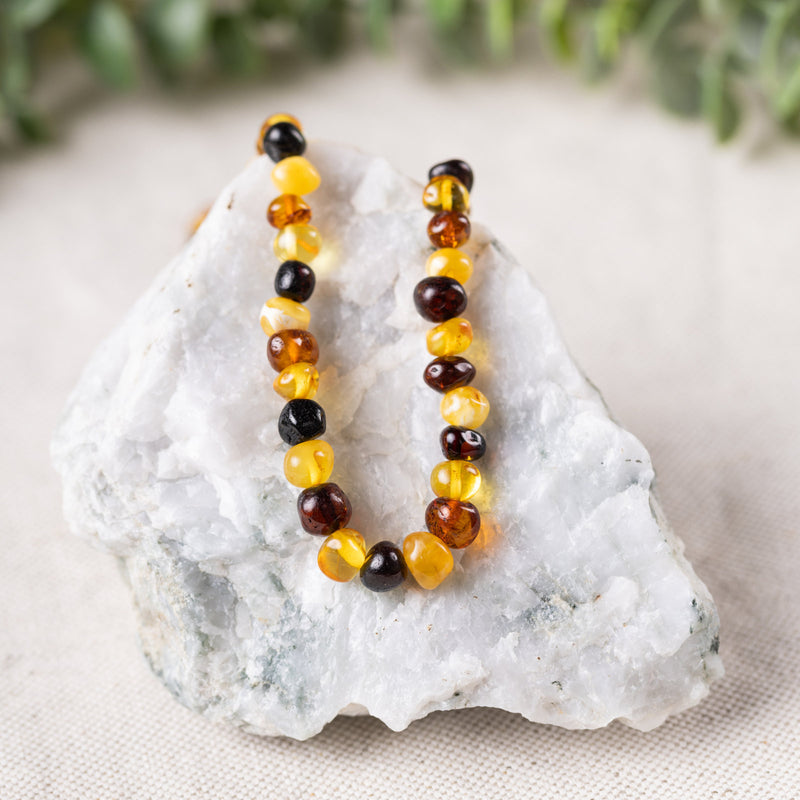 Multi Baltic Amber Necklace - Adult