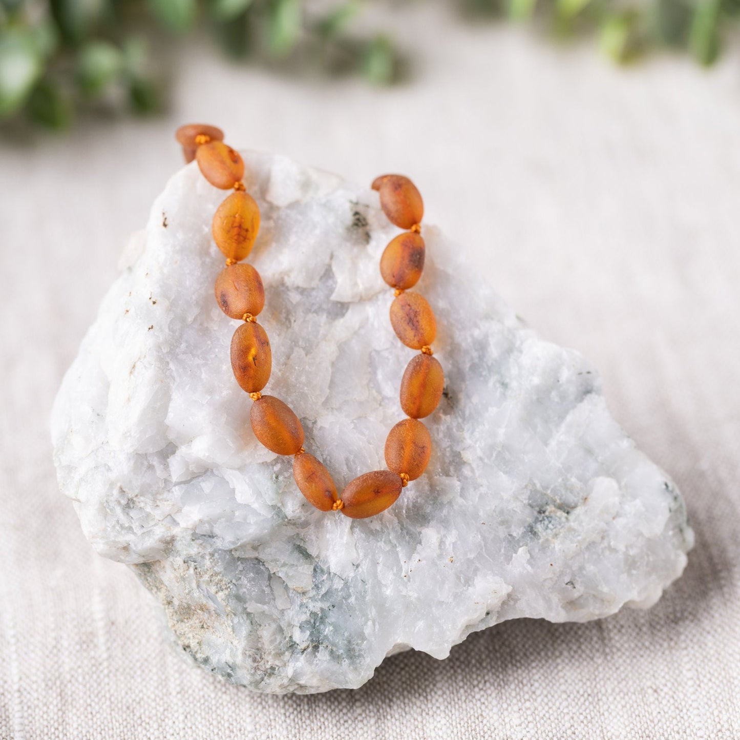 Raw Cognac Bean Baltic Amber Necklace - Adult