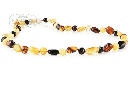 Multi Mix Baltic Amber Necklace - Adult